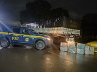 PRF apreende 241 Kg de maconha em Ribas do Rio Pardo (MS)