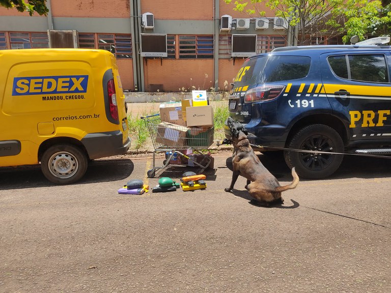 PRF apreende encomendas com drogas em Campo Grande (MS).jpeg