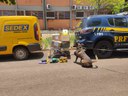 PRF apreende encomendas com drogas em Campo Grande (MS).jpeg