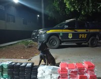 PRF apreende 125 Kg de cocaína em carga de carnes na BR-262
