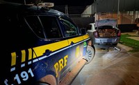 PRF apreende uma tonelada de maconha em Sidrolândia (MS)
