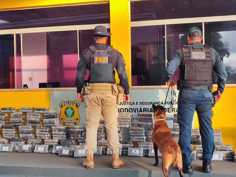 PRF apreende 237 Kg de cocaína em Guia Lopes da Laguna (MS) 2.jpg