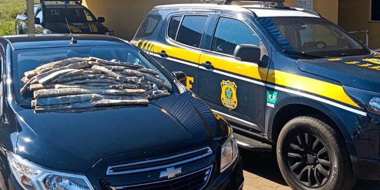 Imagem do WhatsApp de 2025-07-03 à(s) 16.03.36_2ad6123b.jpg