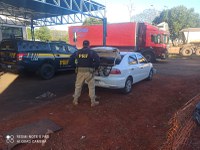 PRF apreende 411,5 kg de maconha em Ivinhema (MS)