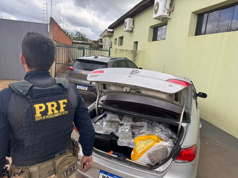 PRF apreende 310,1 kg de maconha em Batayporã (MS)