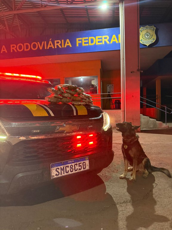 Imagem do WhatsApp de 2025-06-17 à(s) 19.05.18_85e59ce3.jpg