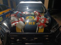 PRF apreende 7 Kg de maconha em Nova Alvorada do Sul (MS)