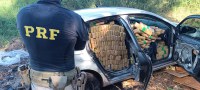 PRF apreende 991 Kg de maconha e recupera veículo em Campo Grande (MS)