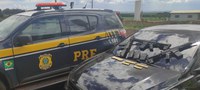 PRF apreende três fuzis e munições em Ponta Porã (MS)