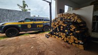 PRF apreende 1,6 tonelada de maconha em Jaraguari (MS)