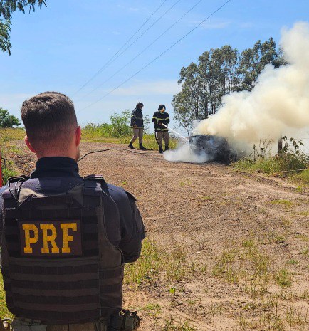 PRF apreende 300 Kg de maconha em Naviraí (MS)