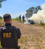 PRF apreende 300 Kg de maconha em Naviraí (MS)