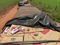 PRF apreende 300 mil maços de cigarros em Campo Grande (MS)