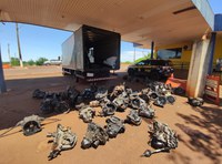 PRF apreende peças de veículos furtados em Rio Brilhante (MS)