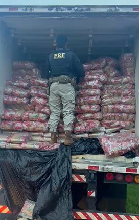 PRF apreende quase duas toneladas de maconha na divisa entre MS e SP.jpg