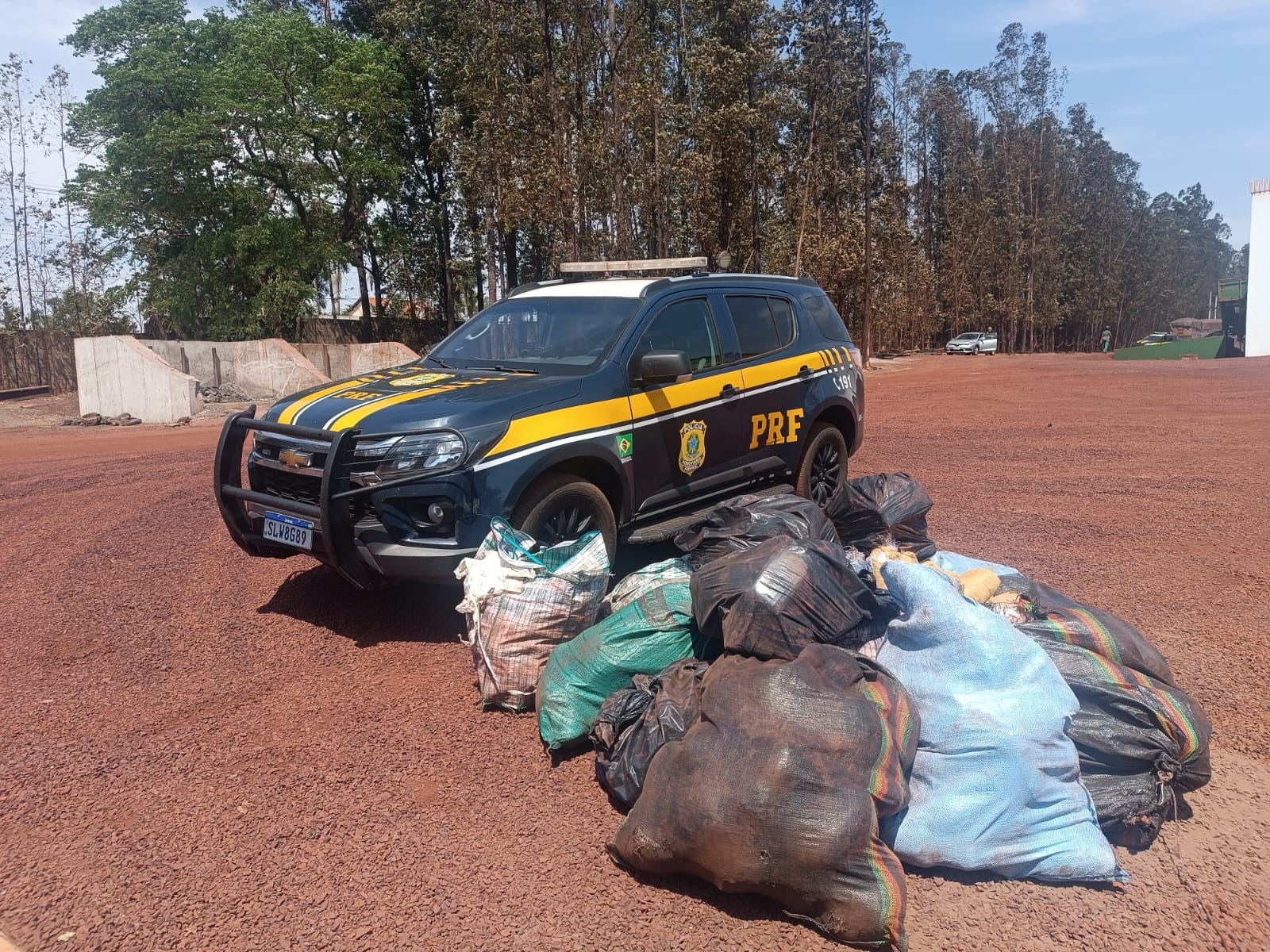 364 Kg de skunk apreendidos