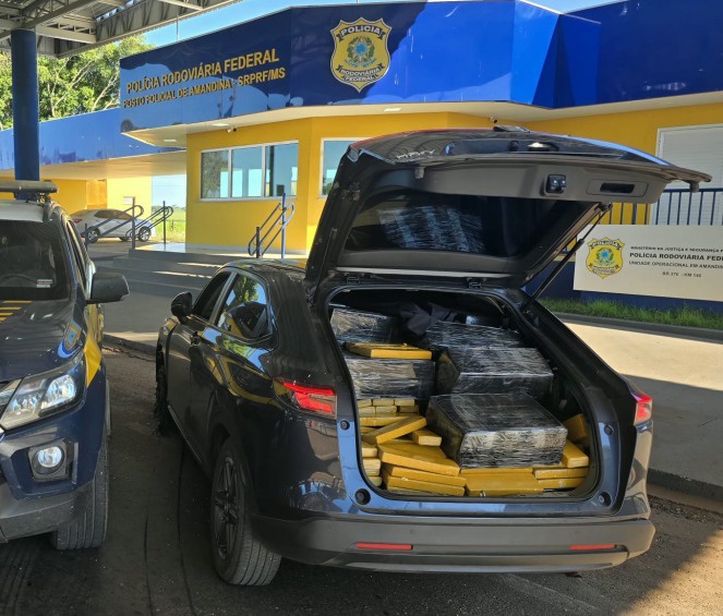 WhatsApp Image 2026-04-06 at 11.31.48.jpeg