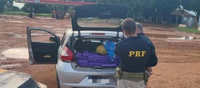 PRF apreende 213 Kg de maconha em Ivinhema (MS)