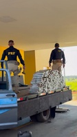 PRF apreende 337 Kg de maconha em Ivinhema (MS)