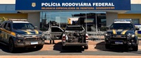 PRF apreende 750 Kg de maconha em Dourados (MS)