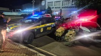 PRF e PM apreendem 513 Kg de maconha em Nova Andradina (MS)
