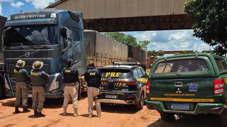 PRF e Ibama apreendem carga de madeira irregular na BR-163