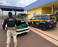 PRF apreende 100 Kg de maconha em Eldorado (MS)