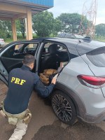 PRF apreende 72 Kg de maconha em Nova Alvorada do Sul (MS)