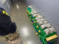 PRF apreende 358 Kg de maconha em Sidrolândia (MS)