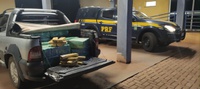 PRF apreende 521 Kg de maconha em Sidrolândia (MS)