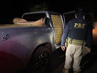 PRF apreende 2 toneladas de maconha em Guia Lopes da Laguna (MS)