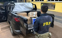 PRF apreende 304 Kg de maconha em Paranaíba (MS)