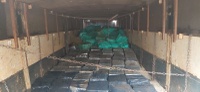 PRF apreende 4,5 toneladas de maconha em Dourados (MS)