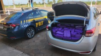 PRF apreende 540 Kg de maconha em Bataguassu (MS)