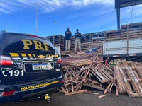 PRF apreende uma tonelada de maconha em Caarapó (MS)
