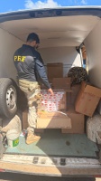 PRF apreende 11 mil maços de cigarros na BR-267