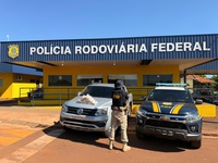 PRF apreende 16 quilos de cocaína em pneu na BR-163