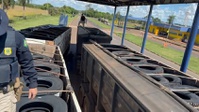 PRF apreende 545 pneus de origem estrangeira em Caarapó (MS)