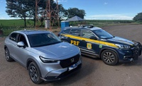 PRF recupera veículos na BR-267