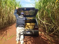 PRF apreende 301 Kg de maconha em Caarapó (MS)