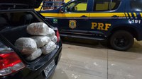 PRF apreende 97,5 Kg de maconha e 36,9 Kg de skunk em Naviraí (MS)