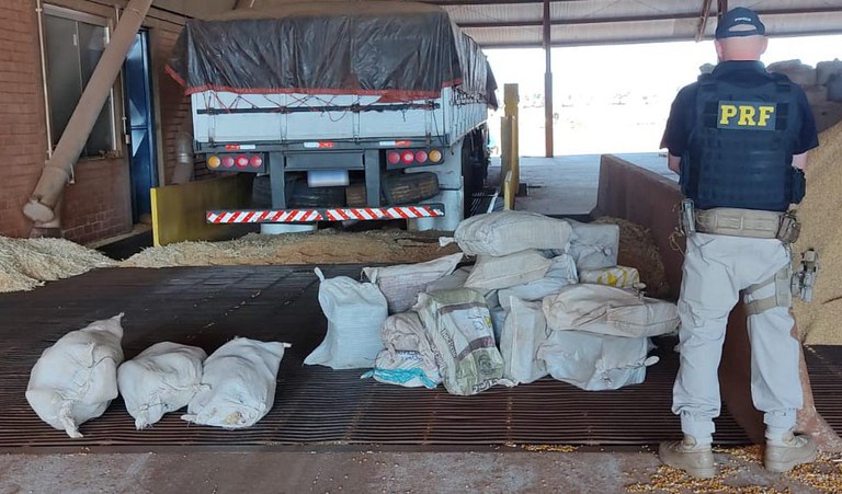 PRF apreende 382 Kg de maconha e 32 Kg de skunk em Dourados (MS)