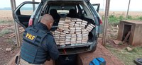 PRF apreende 96,2 Kg de maconha em Ponta Porã (MS)