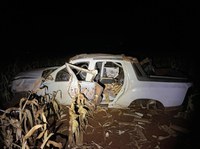 PRF apreende 981 Kg de maconha em Rio Brilhante (MS)