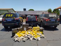 PRF apreende 301,5 Kg de maconha e 12 Kg de skunk em Caarapó (MS)