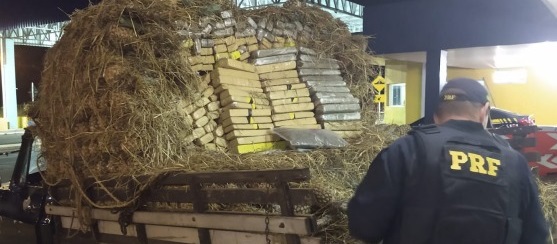 PRF apreende 844 Kg de maconha e skunk sob carga de abacaxis em Ponta Porã (MS)2