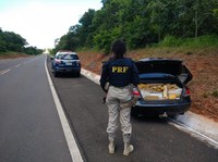 PRF apreende 781 Kg de maconha em Alcinópolis (MS)