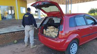 PRF apreende 123,5 Kg de maconha em Ponta Porã (MS)