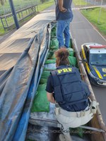 PRF apreende grande quantidade de roupas sem documentação fiscal na BR-163