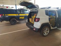 PRF apreende 817 Kg de maconha e 33,6 Kg de skunk em Campo Grande (MS)